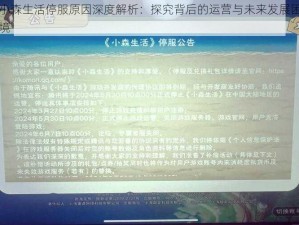 小森生活停服原因深度解析：探究背后的运营与未来发展困境