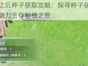 明日之后种子获取攻略：探寻种子获取之道，助力生存种植之旅