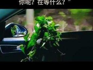 成品抖音短视频免费看;成品抖音短视频免费看，你还在等什么？