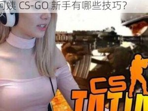 暴躁老阿姨CS-GO新手技巧_暴躁老阿姨 CS-GO 新手有哪些技巧？