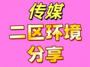 国产传媒一区二区三区 国产传媒一区二区三区，为何备受争议？