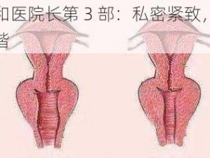 佳柔和医院长第 3 部：私密紧致，让爱更和谐