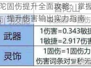 普陀固伤提升全面攻略：掌握技巧，提升伤害输出实力指南