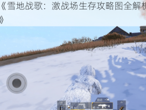 《雪地战歌：激战场生存攻略图全解析》