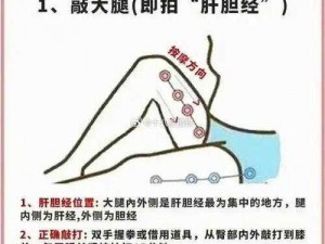 功能强大的强肝软件免费使用，呵护你的肝脏健康