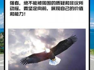 雷鹰展翅：探索未知领域的先锋科技力量