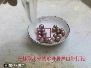 给女生开蚌是什么意思 给女生开蚌是一种什么样的行为？