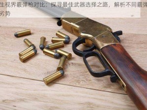 双生视界霰弹枪对比：探寻最佳武器选择之路，解析不同霰弹枪优劣势