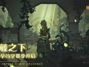 哈利波特魔法觉醒剧情攻略：探索霍格沃茨的奇幻旅程与魔法秘密