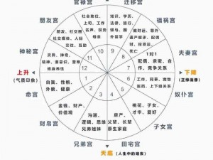 幻城手游占星系统攻略大全：玩法详解与技巧分享