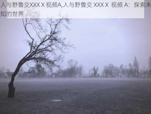 人与野鲁交XXXⅩ视频A,人与野鲁交 XXXⅩ 视频 A：探索未知的世界