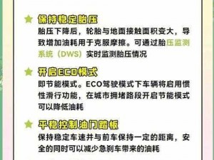 驾校情缘老树开花：一款提供优质驾驶培训服务的软件，让你轻松成为老司机