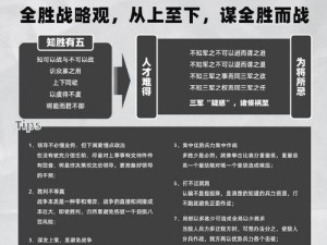 提升独立防线战斗力的全面攻略：构建强大的防御体系与战斗策略