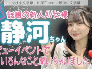 sod 中文字幕、如何在 sod 中添加中文字幕