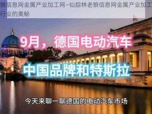 仙踪林老狼信息网金属产业加工网—仙踪林老狼信息网金属产业加工网：探索金属加工行业的奥秘