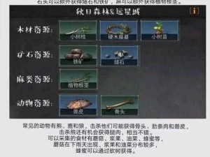 明日之后：兽尾获取攻略：详细解析与实战经验分享