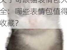 关于可颂猫表情包大全：哪些表情包值得收藏？