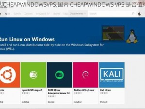 国内CHEAPWINDOWSVPS,国内 CHEAPWINDOWS VPS 是否值得选择？