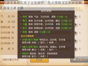 梦幻西游手游普陀弟子全面解析：加点策略深度剖析攻略，助您成就最强王者之路