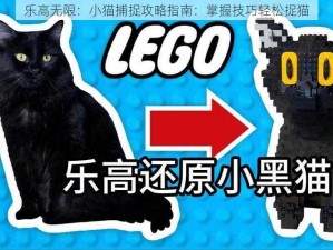 乐高无限：小猫捕捉攻略指南：掌握技巧轻松捉猫