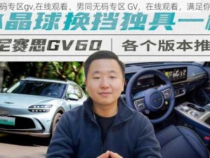 男同无码专区gv,在线观看、男同无码专区 GV，在线观看，满足你的欲望