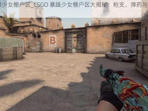 csgo暴躁少女棚户区_CSGO 暴躁少女棚户区大揭秘：枪支、弹药与少女的神秘世界