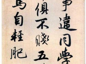 公的浮之手中字13、公的浮之手中字 13：探究其背后的故事与意义