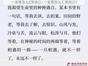 一支笔怎么C哭自己—一支笔怎么 C 哭自己？