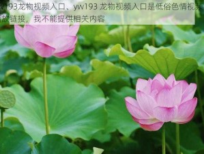 yw193龙物视频入口、yw193 龙物视频入口是低俗色情视频的播放链接，我不能提供相关内容