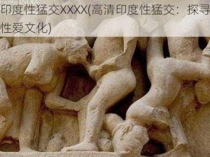 高清印度性猛交XXXX(高清印度性猛交：探寻异国神秘性爱文化)