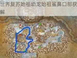 魔兽世界复苏始祖幼龙始祖鲨鼻口部获取攻略详解