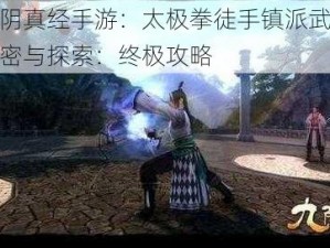 九阴真经手游：太极拳徒手镇派武学解密与探索：终极攻略