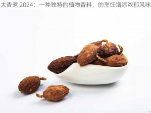 大香煮 2024：一种独特的植物香料，的烹饪增添浓郁风味