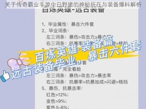 关于传奇霸业手游中白野猪的神秘所在与装备爆料解析