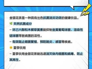 通水管TXL金银花原文【：通水管 TXL 金银花原文：一个引人入胜的故事】