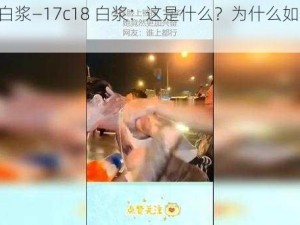 17c18白浆—17c18 白浆：这是什么？为什么如此受欢迎？