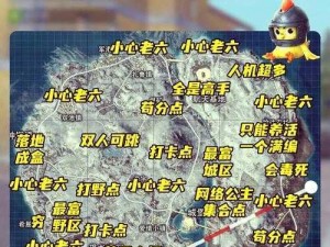 和平精英雪地图实战攻略：掌握核心打法，决胜冰冷战场