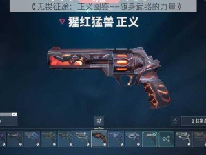 《无畏征途：正义图鉴——随身武器的力量》