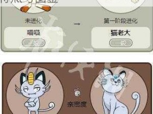 《精灵宝可梦GO》中的猫老大：详细解析分布区域、技能特点与图鉴