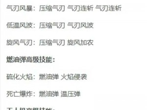 全民炮炮兵装备系统深度解析及玩法说明