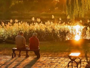 夕阳老人大小便图片_夕阳老人在公园内随地大小便，素质何在？