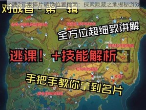 黑暗之魂2元素碎片精确位置指南：探索隐藏之地揭秘游戏奥秘