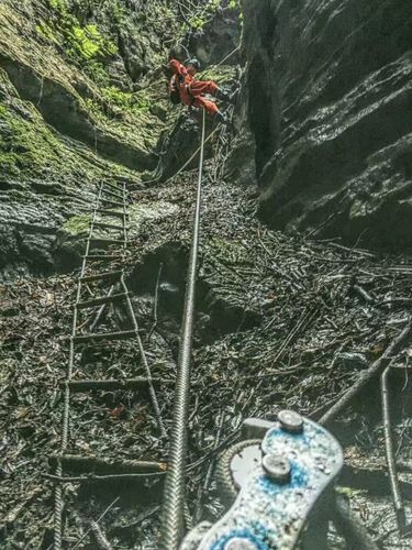 方舟之旅野外探险攻略：探索未知世界的生存法则与探险技巧