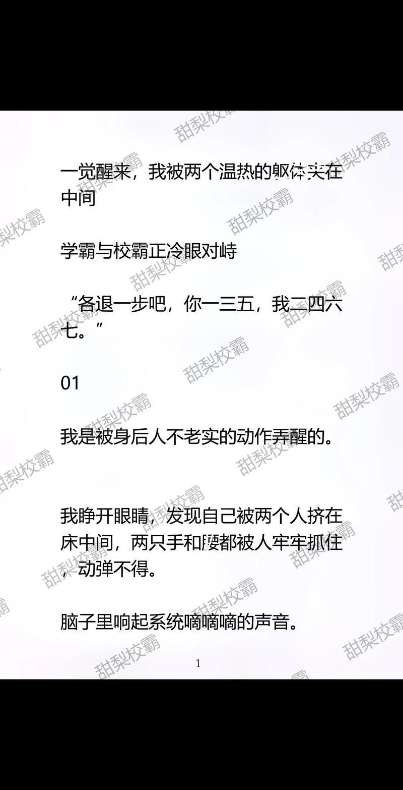 学霸 1 校霸 0 双男主微博，优质小说推荐，不容错过