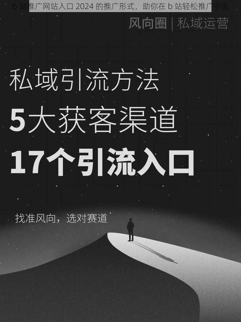 b 站推广网站入口 2024 的推广形式，助你在 b 站轻松推广引流