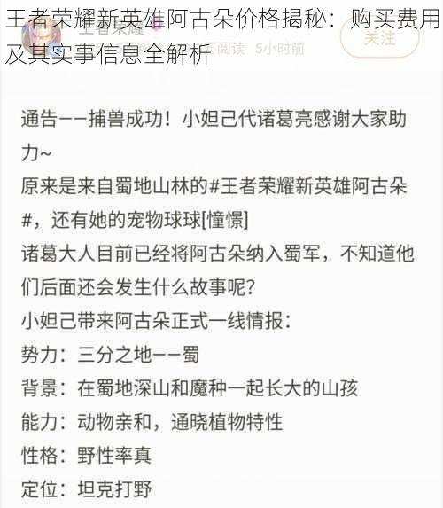 王者荣耀新英雄阿古朵价格揭秘：购买费用及其实事信息全解析