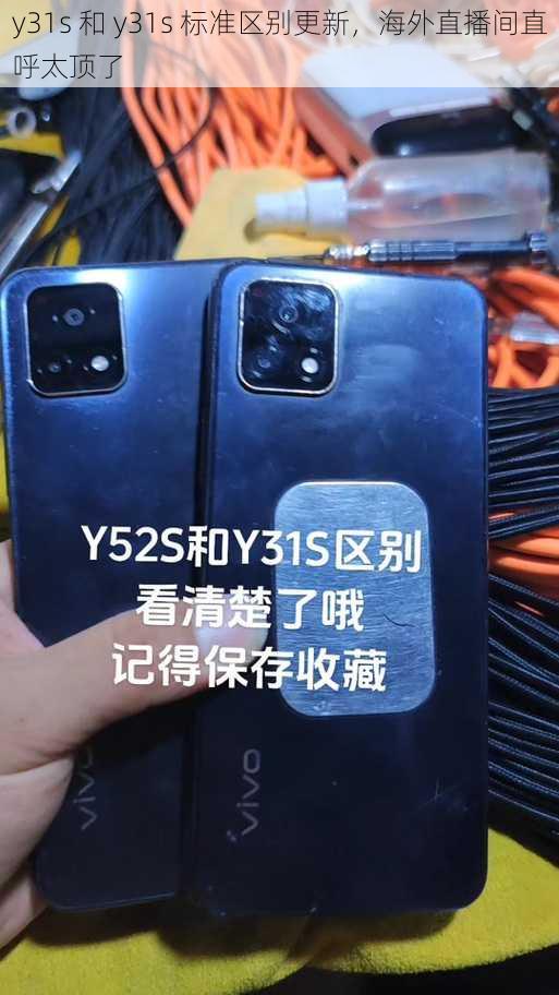 y31s 和 y31s 标准区别更新，海外直播间直呼太顶了