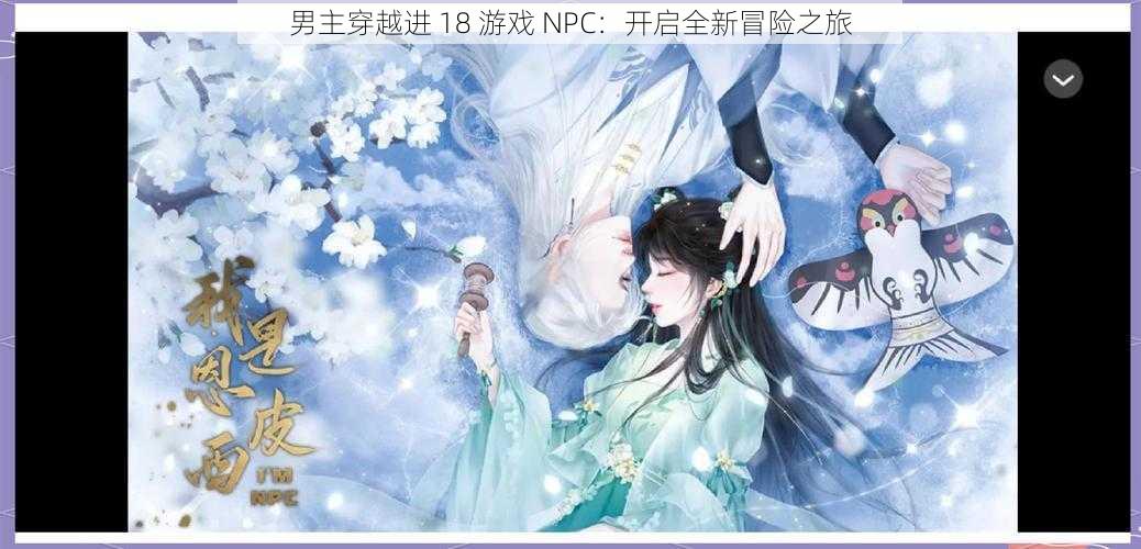 男主穿越进 18 游戏 NPC：开启全新冒险之旅