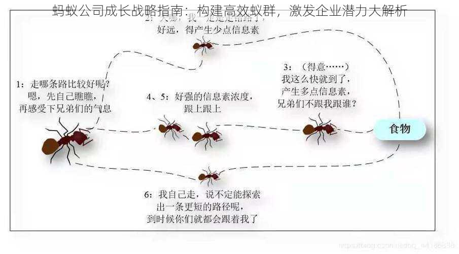 蚂蚁公司成长战略指南：构建高效蚁群，激发企业潜力大解析