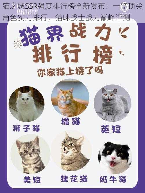 猫之城SSR强度排行榜全新发布：一览顶尖角色实力排行，猫咪战士战力巅峰评测